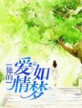 他的爱情如梦全文免费阅读