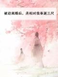 被迫离婚txt废文
