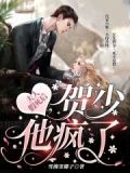 夫人假死后,贺少他疯了小说
