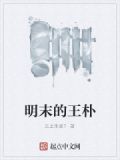 明末的王朴 小说