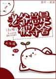 [红楼]老爷总是被夺舍 石九溪