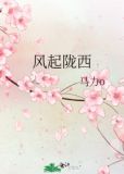 风起陇西豆瓣评分