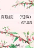 真选组!(银魂)txt