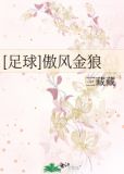 傲风最新