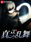真乱舞书