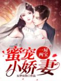 一屋两宝:蜜宠小娇妻 辰梦宿扬