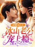 小说试婚老公强势宠