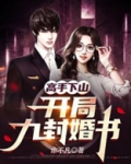 高手下山：开局九封婚书