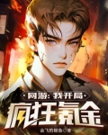 网游：我开局疯狂氪金