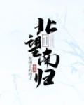 北望南归